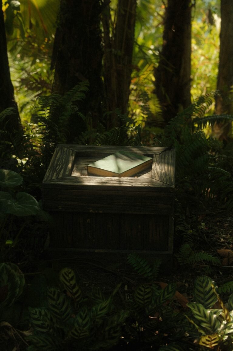 Photo of a mystery box by P++by Dennis Cortés